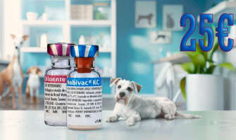 Акция! Вакцина Nobivac KC со скидкой