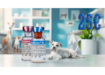 Акция! Вакцина Nobivac KC со скидкой
