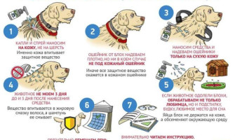 Kirbude ja puukide kaitse