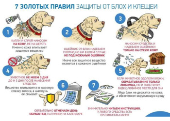 Защита от блох и клещей