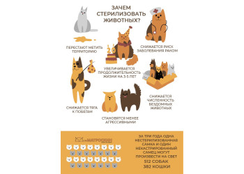 Зачем стерилизовать?